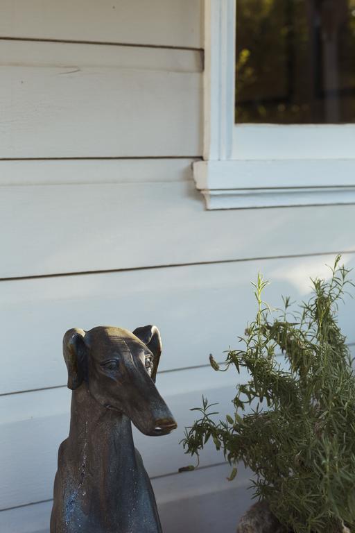 Illalangi Boutique Cottage Blackheath Eksteriør bilde